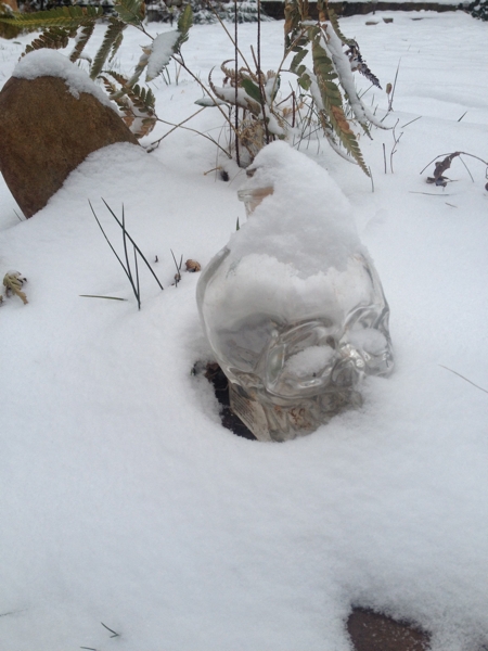 the skull in snow